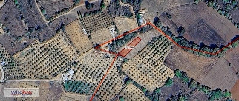 Winova| Küçük Yenice'de Hobi Bahçesine Uygun Fırsat Tarla ! - Görsel 2