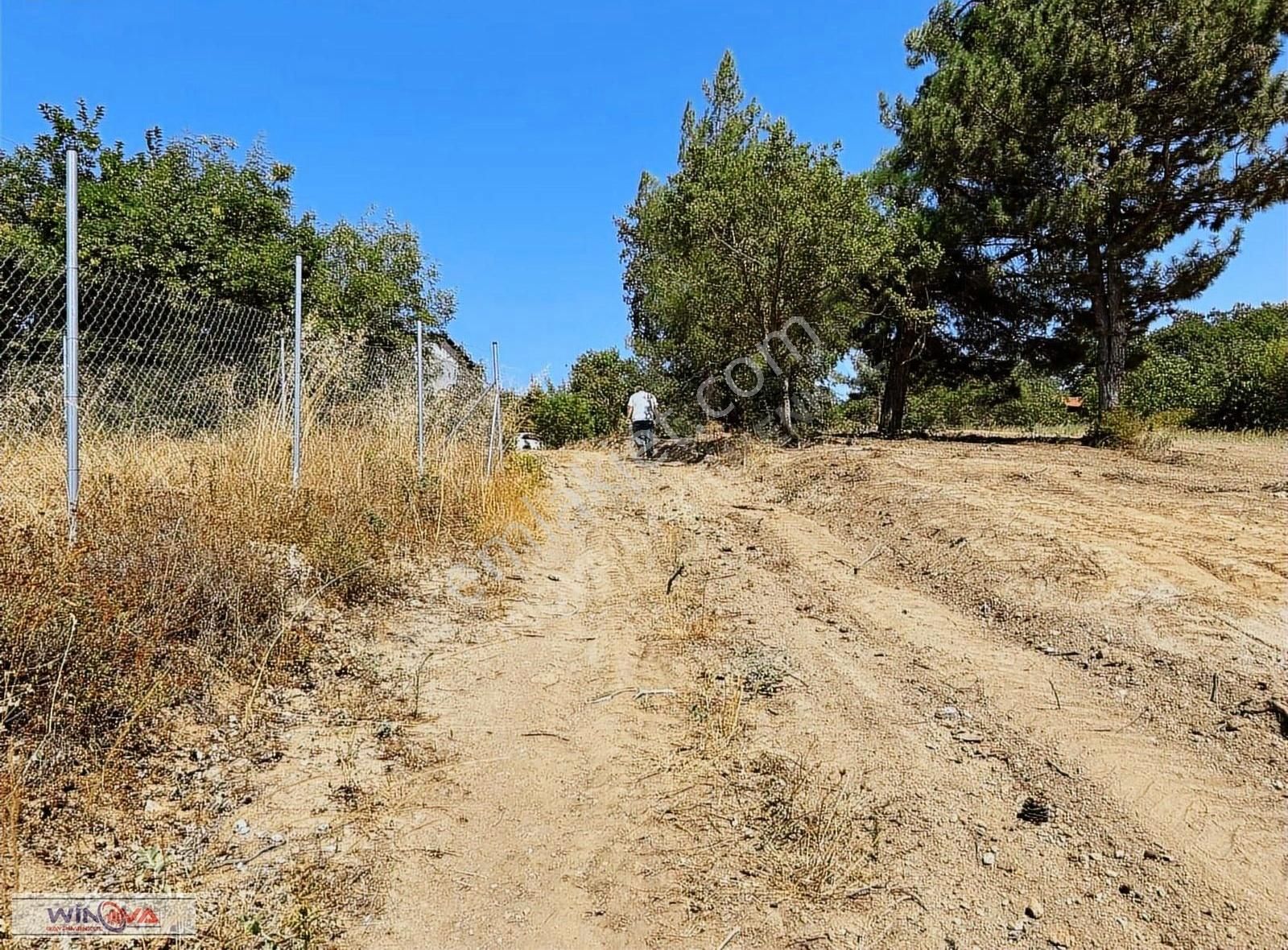 Winova| Küçük Yenice'de Hobi Bahçesine Uygun Fırsat Tarla ! - Görsel 11