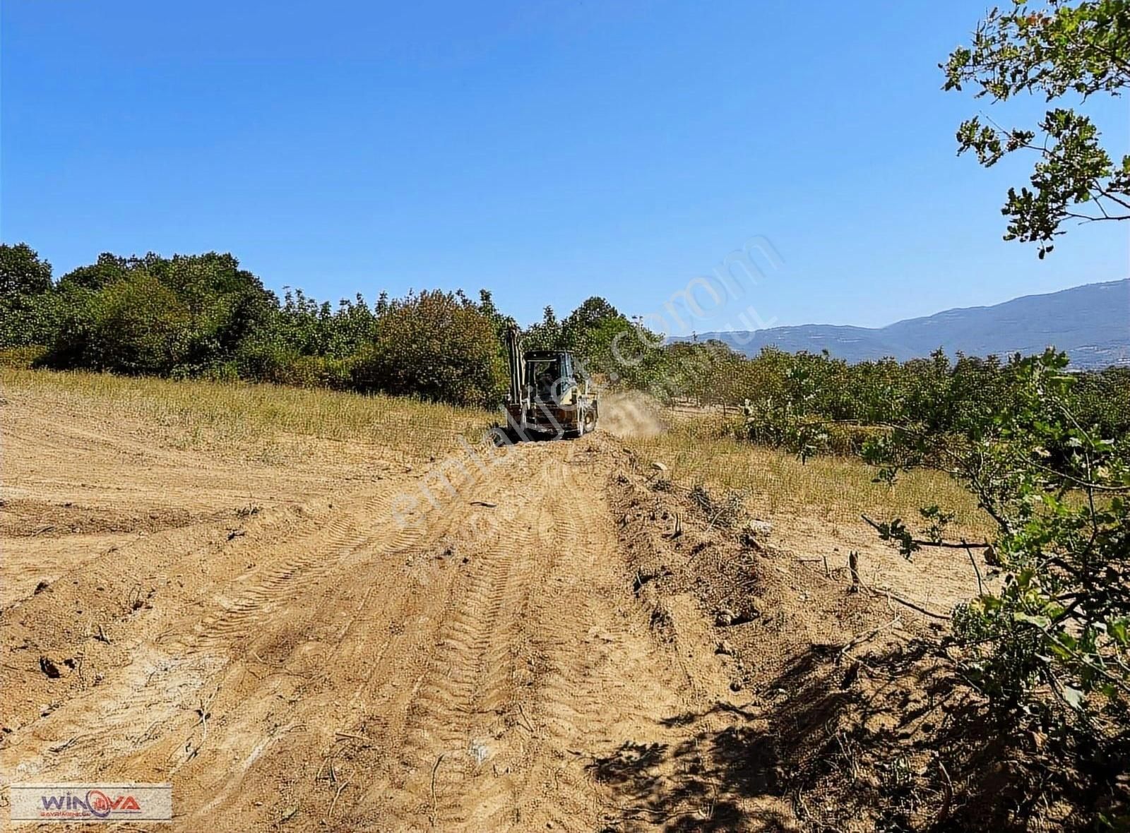 Winova| Küçük Yenice'de Hobi Bahçesine Uygun Resmi Yola Cephe ! - Görsel 6