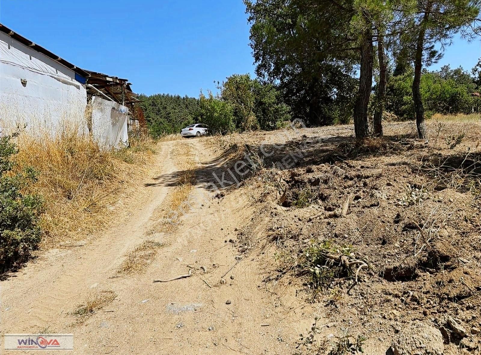 Winova| Küçük Yenice'de Hobi Bahçesine Uygun Resmi Yola Cephe ! - Görsel 4