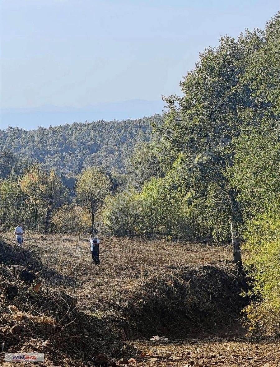 Winova| İnegöl Sülüklügöl'de Yatırım Fırsatı İmarlı Arsa ! - Görsel 3