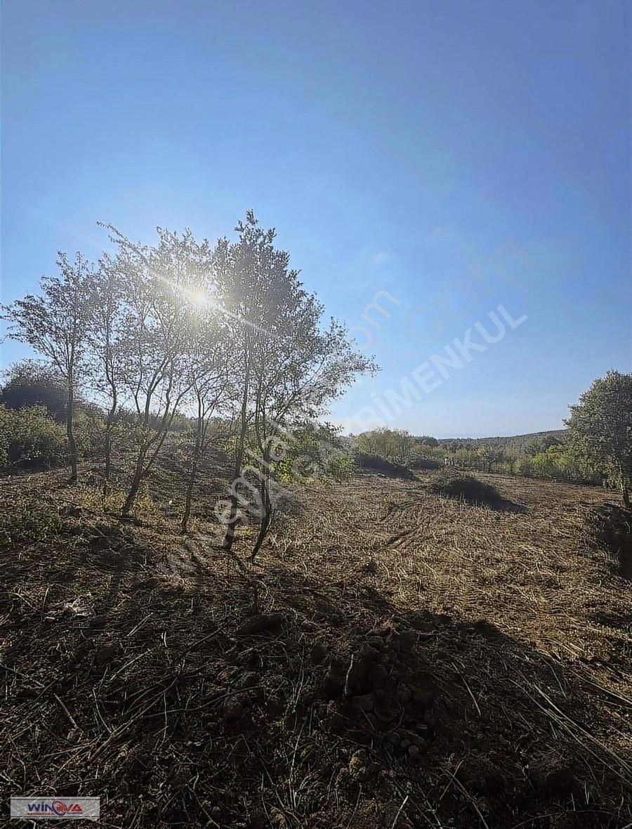 Winova| İnegöl Sülüklügöl'de Yatırım Fırsatı İmarlı Arsa ! - Görsel 2