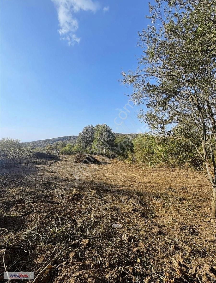 Winova| İnegöl Sülüklügöl'de Yatırım Fırsatı İmarlı Arsa ! - Görsel 9