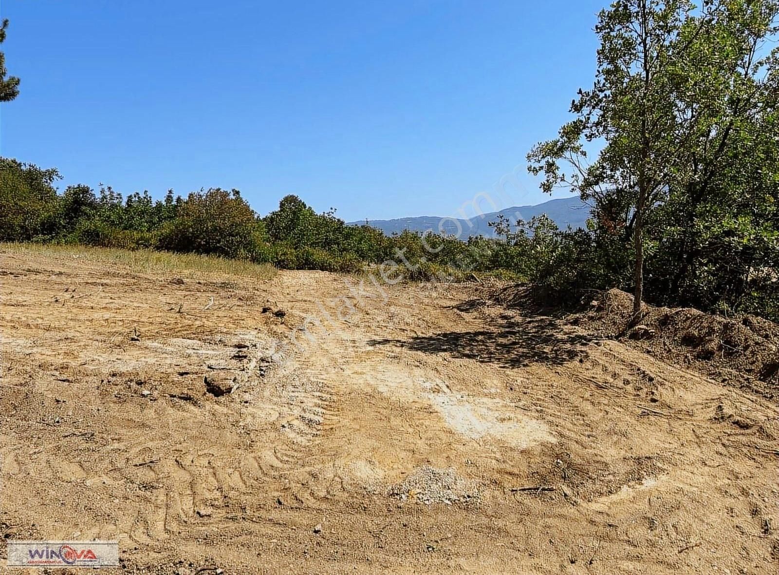 Winova| Küçük Yenice'de Hobi Bahçesine Uygun Fırsat Tarla ! - Görsel 10