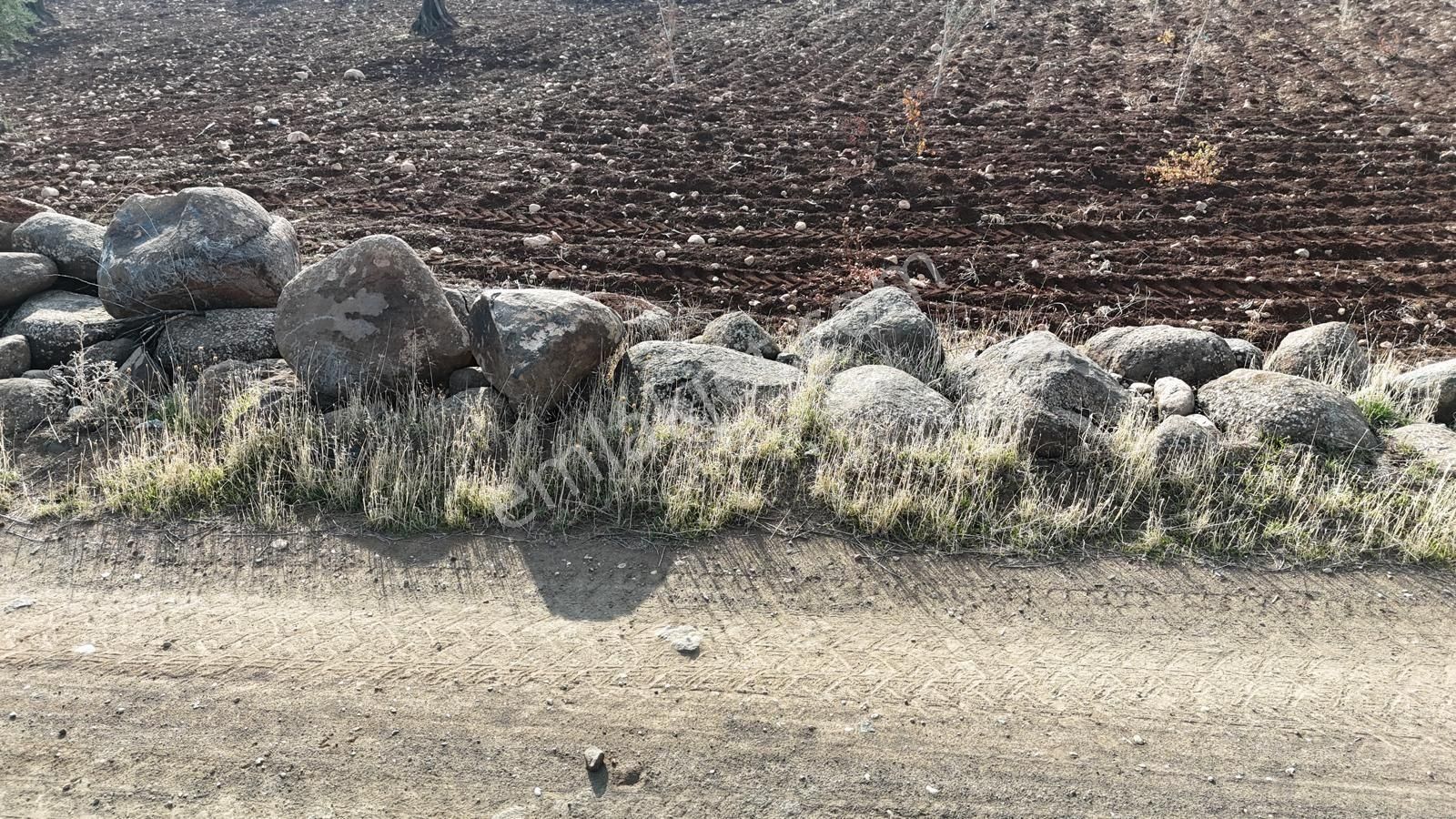 Uyaran 79 Gayrimenkul'den Oylum'da Satılık Zeytinlik - Görsel 16