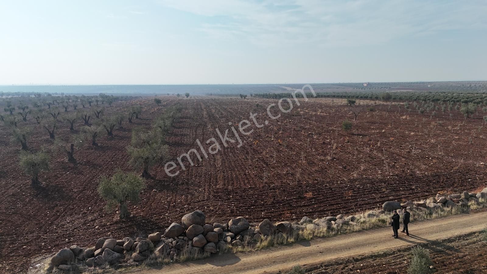 Uyaran 79 Gayrimenkul'den Oylum'da Satılık Zeytinlik - Görsel 13