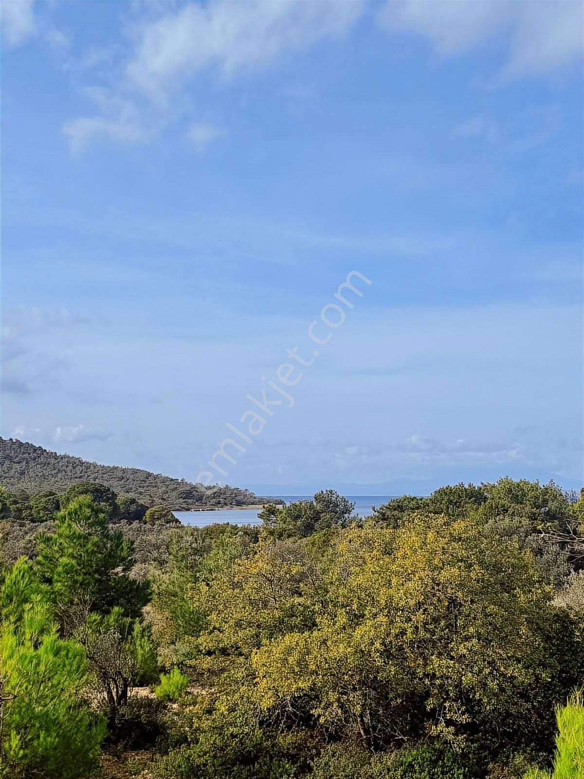 520 Gayrimenkulden Hakkıbey Adasında Tarla Satılık - Görsel 3