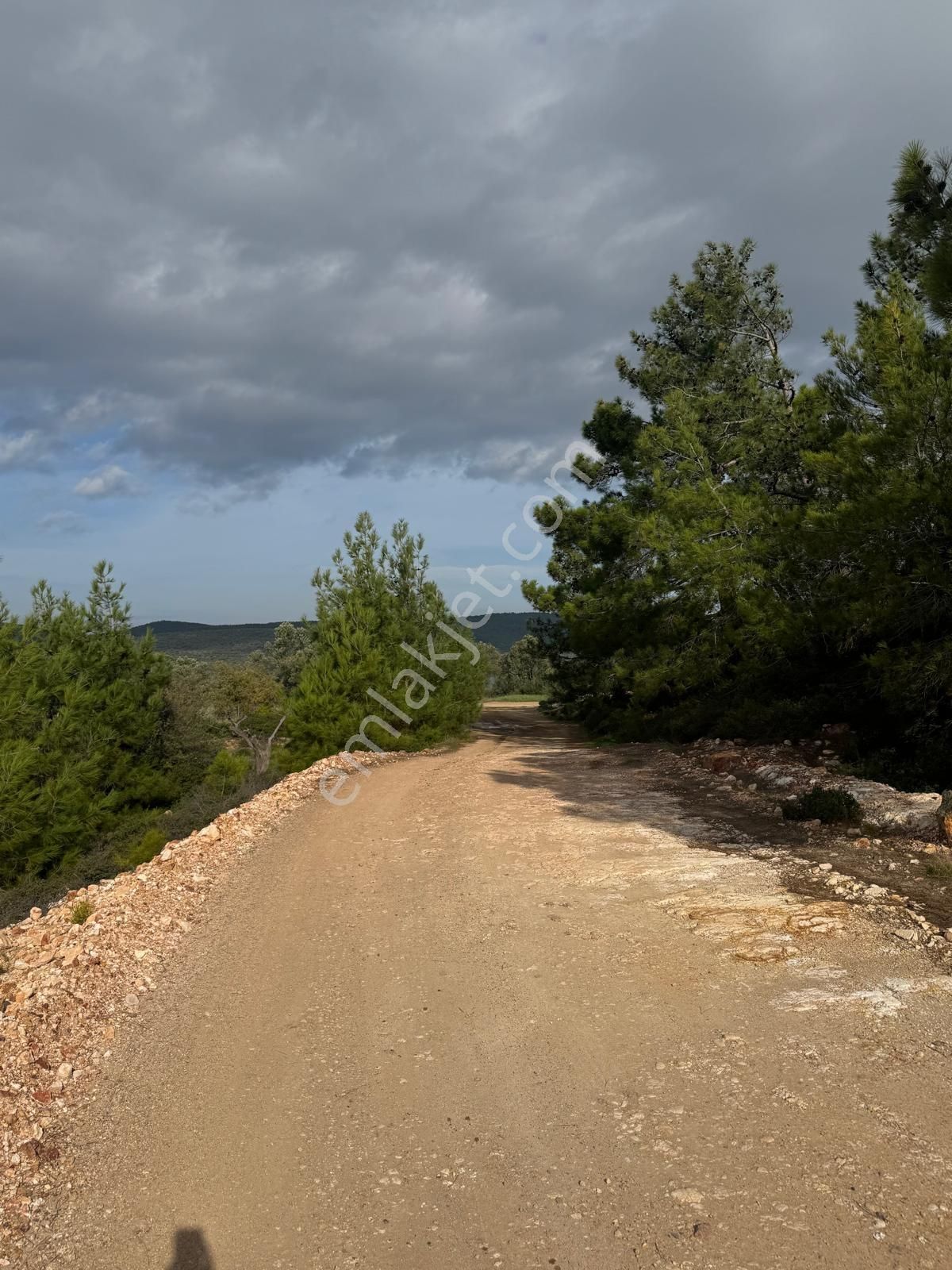 520 Gayrimenkulden Hakkıbey Adasında Tarla Satılık - Görsel 4