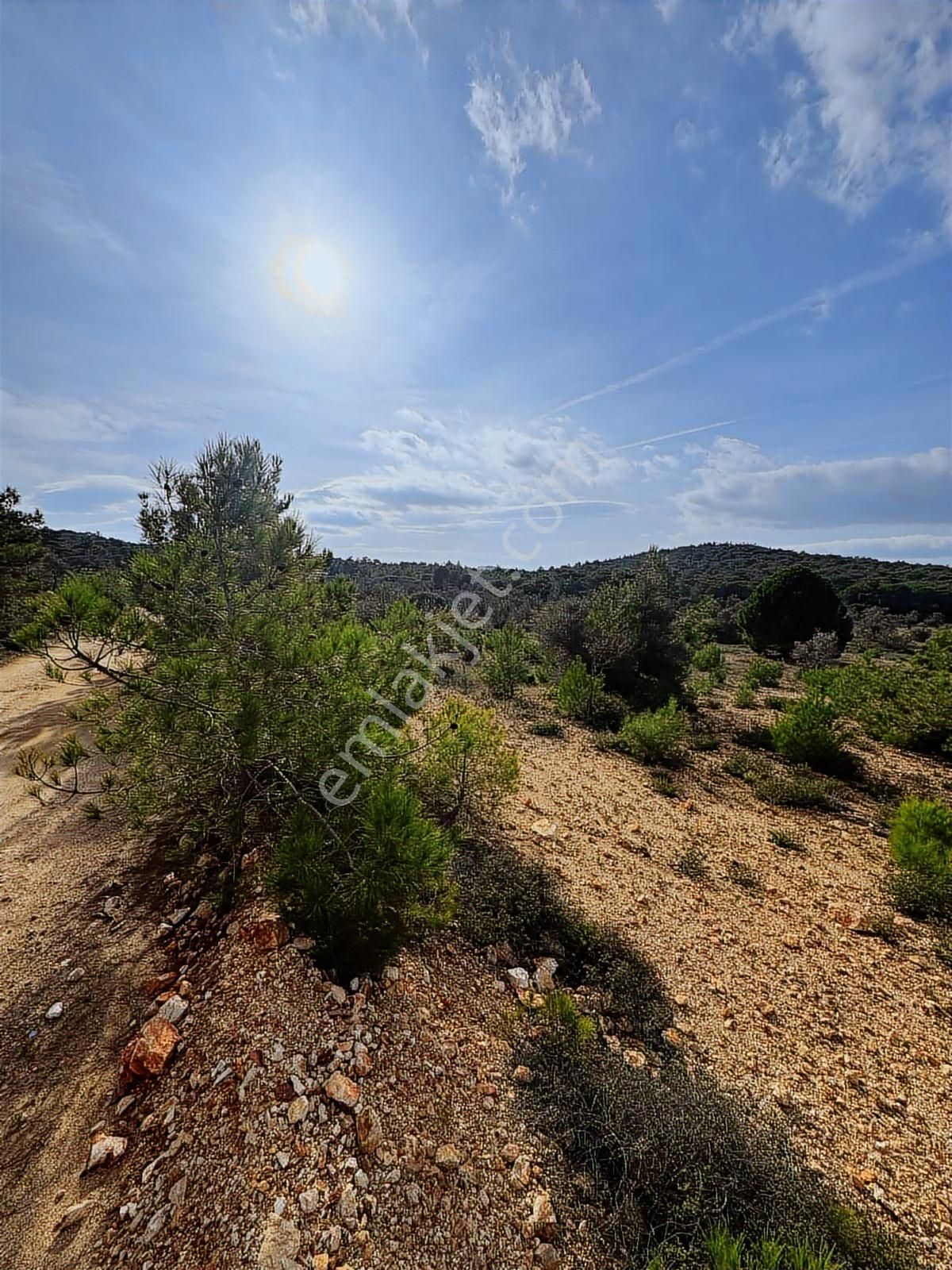 520 Gayrimenkulden Hakkıbey Adasında Tarla Satılık - Görsel 2