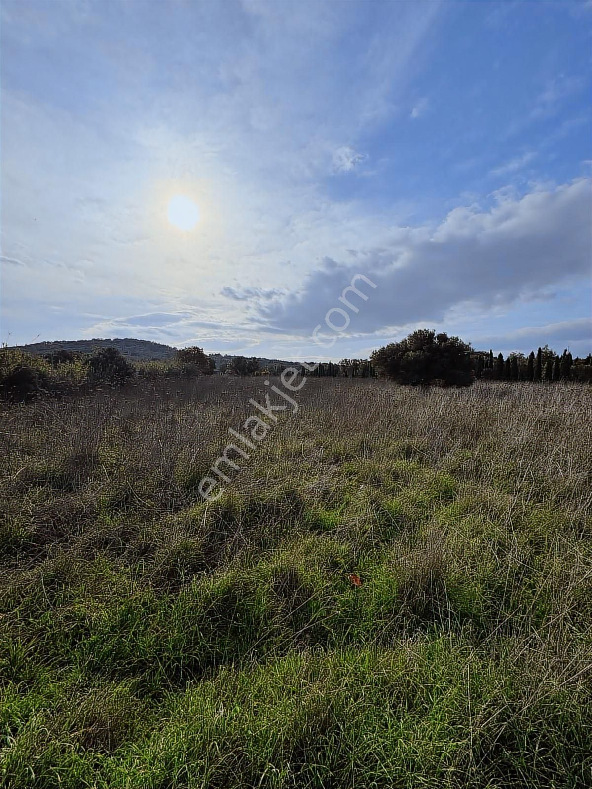 520 Gayrimenkulden Hakkıbey Adasında Tarla Satılık - Görsel 18