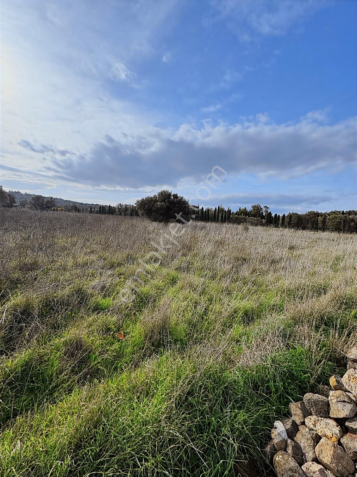 520 Gayrimenkulden Hakkıbey Adasında Tarla Satılık - Görsel 8