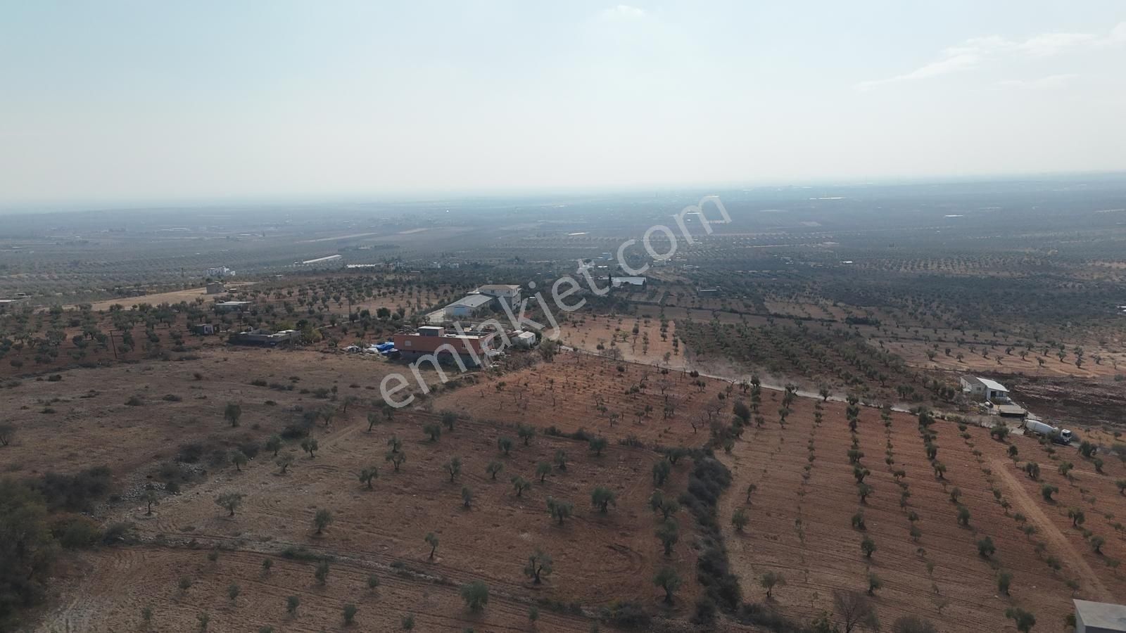 Uyaran 79'dan Şıh Mehmet'te 6.389 M² Tonluk Kilis Zeytini - Görsel 23