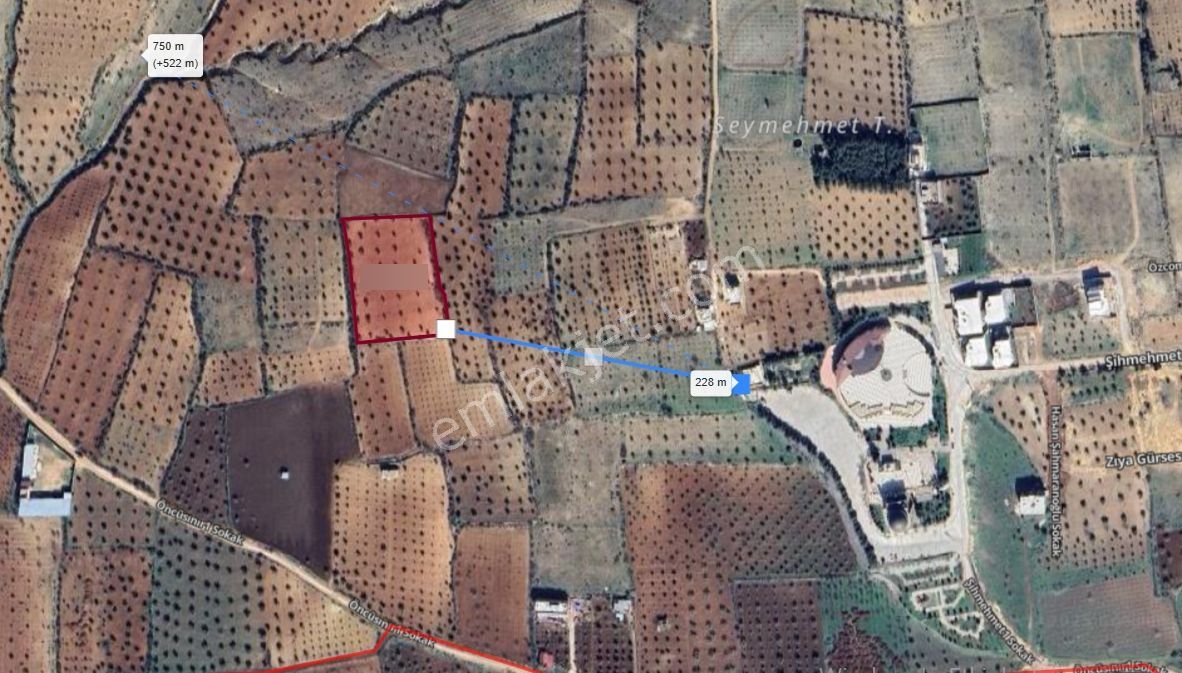 Uyaran 79'dan Şıh Mehmet'te 6.389 M² Tonluk Kilis Zeytini - Görsel 7