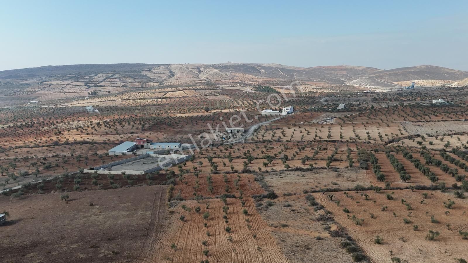 Uyaran 79'dan Şıh Mehmet'te 6.389 M² Tonluk Kilis Zeytini - Görsel 11