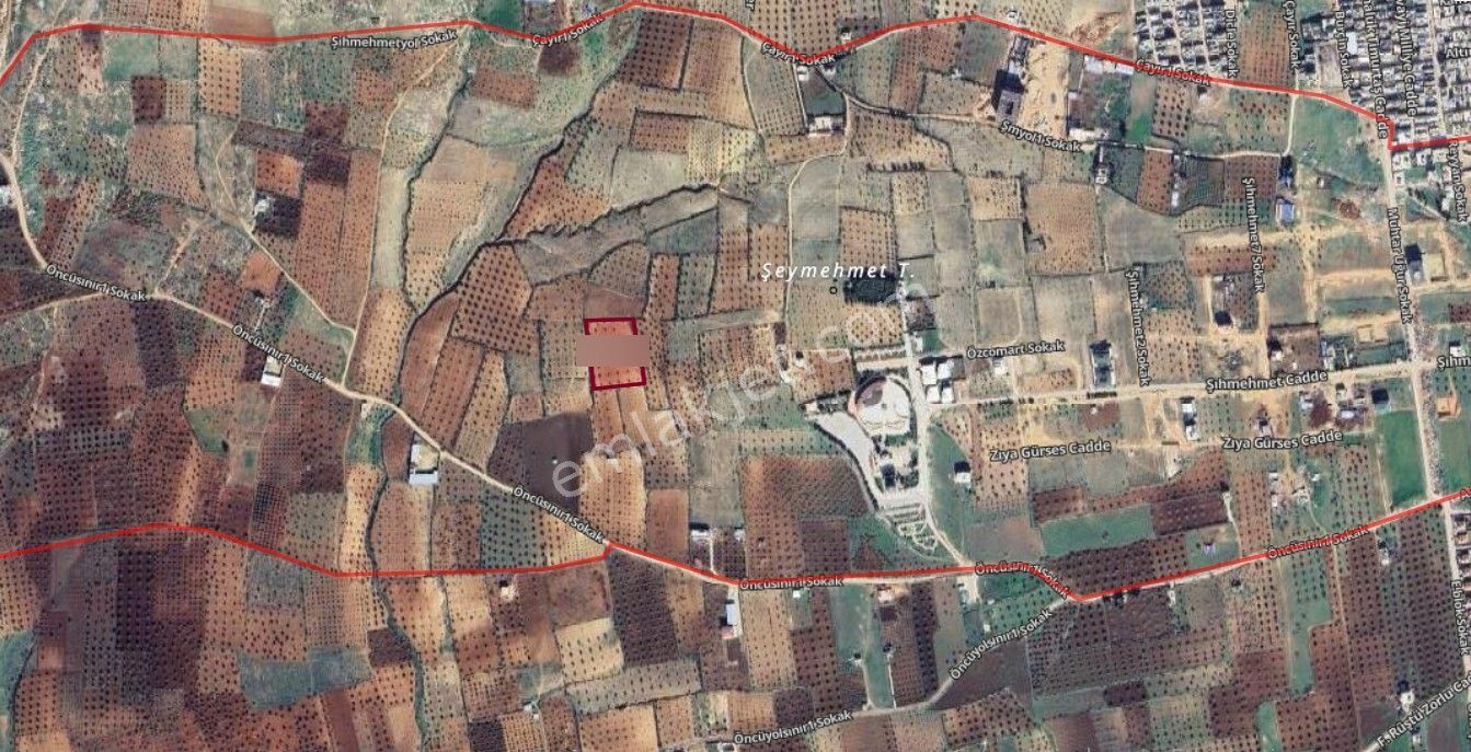 Uyaran 79'dan Şıh Mehmet'te 6.389 M² Tonluk Kilis Zeytini - Görsel 21