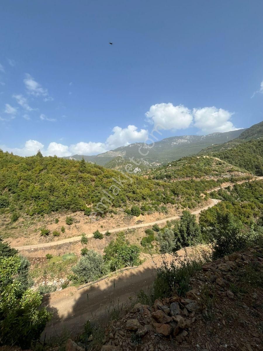 Doğanca Köyünde Takaslı 2990m² Yatırıma Uygun Tarla - Görsel 2