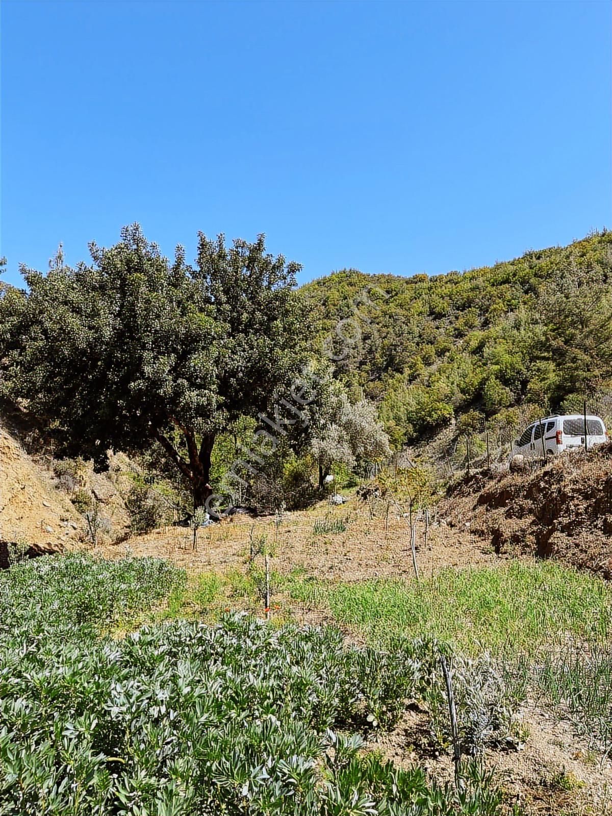 Doğanca Köyünde Takaslı 2990m² Yatırıma Uygun Tarla - Görsel 13