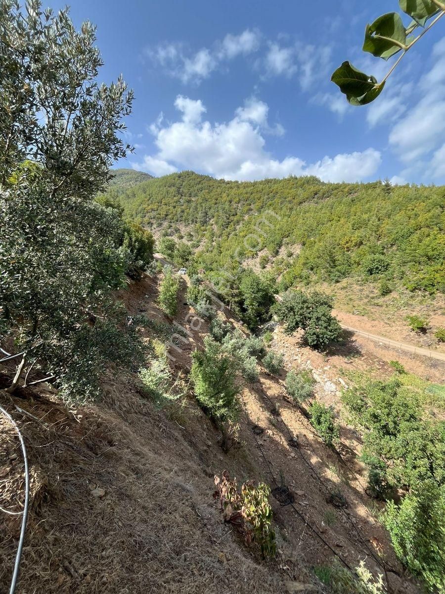 Doğanca Köyünde Takaslı 2990m² Yatırıma Uygun Tarla - Görsel 5