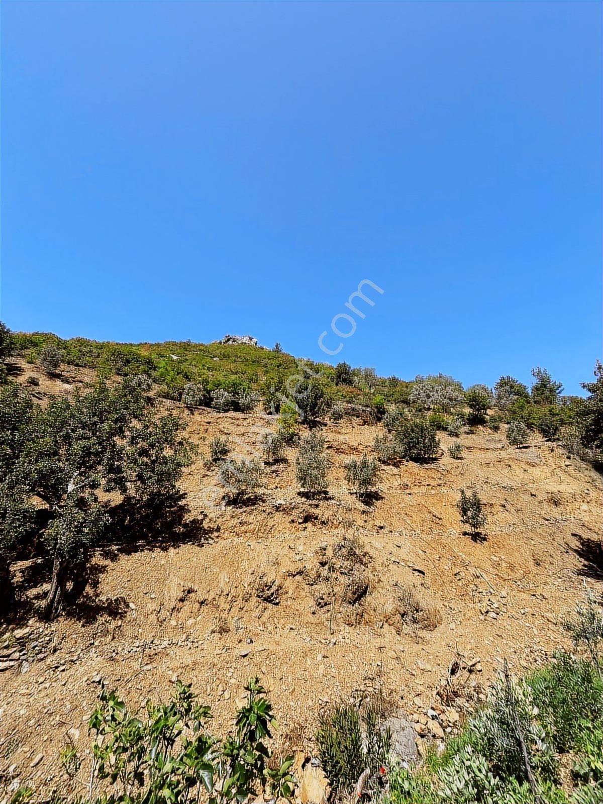 Doğanca Köyünde Takaslı 2990m² Yatırıma Uygun Tarla - Görsel 16