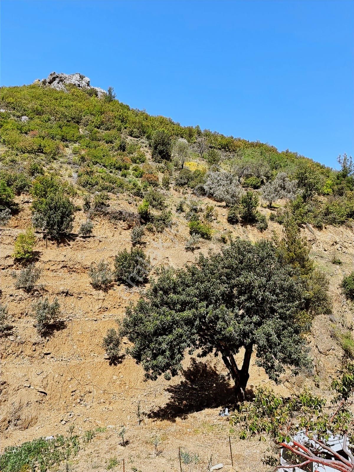 Doğanca Köyünde Takaslı 2990m² Yatırıma Uygun Tarla - Görsel 12