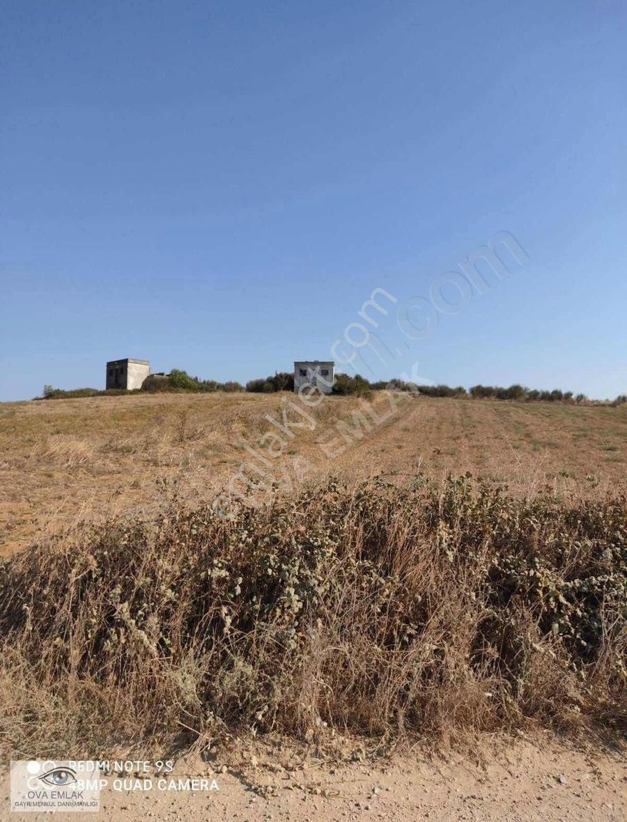 Uluabat Gol Manzarali Kupon Tarla - Görsel 2