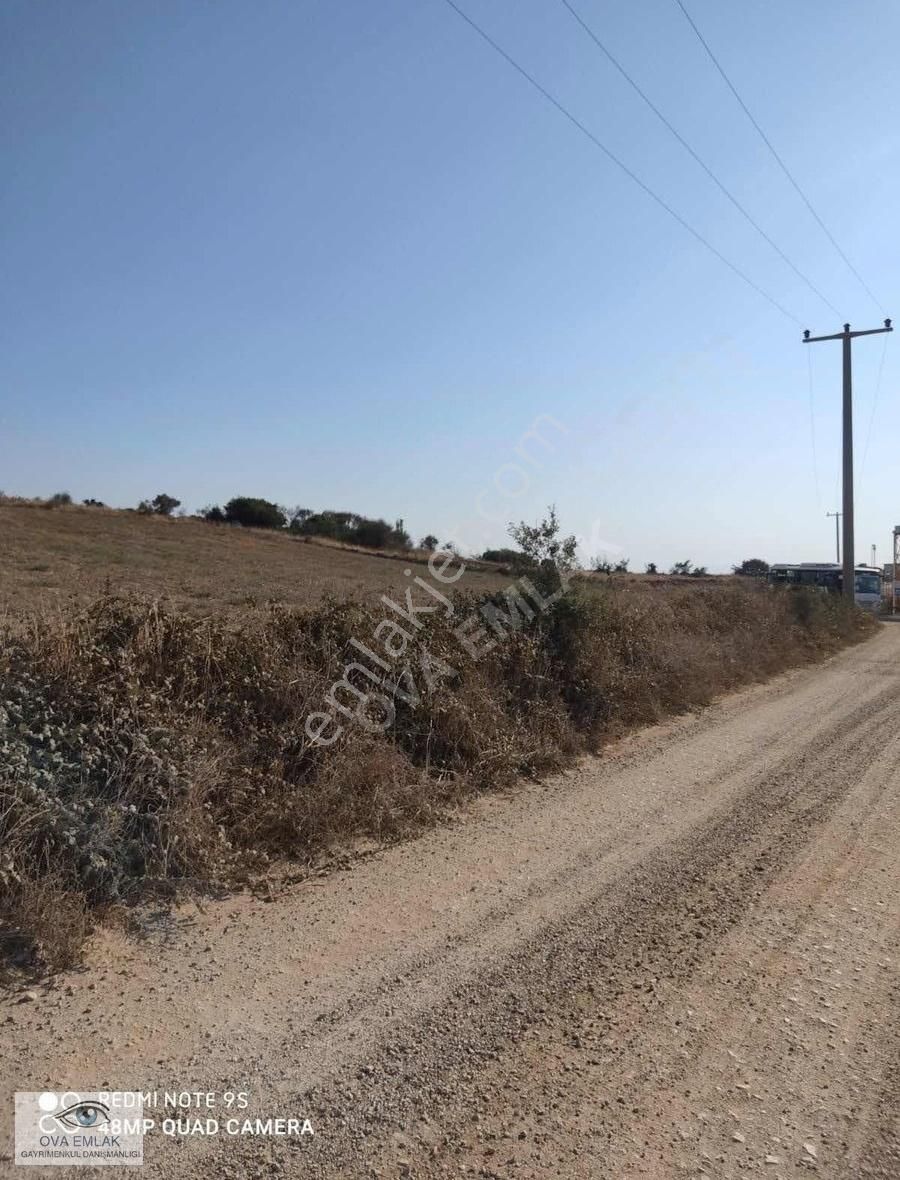 Uluabat Gol Manzarali Kupon Tarla - Görsel 5