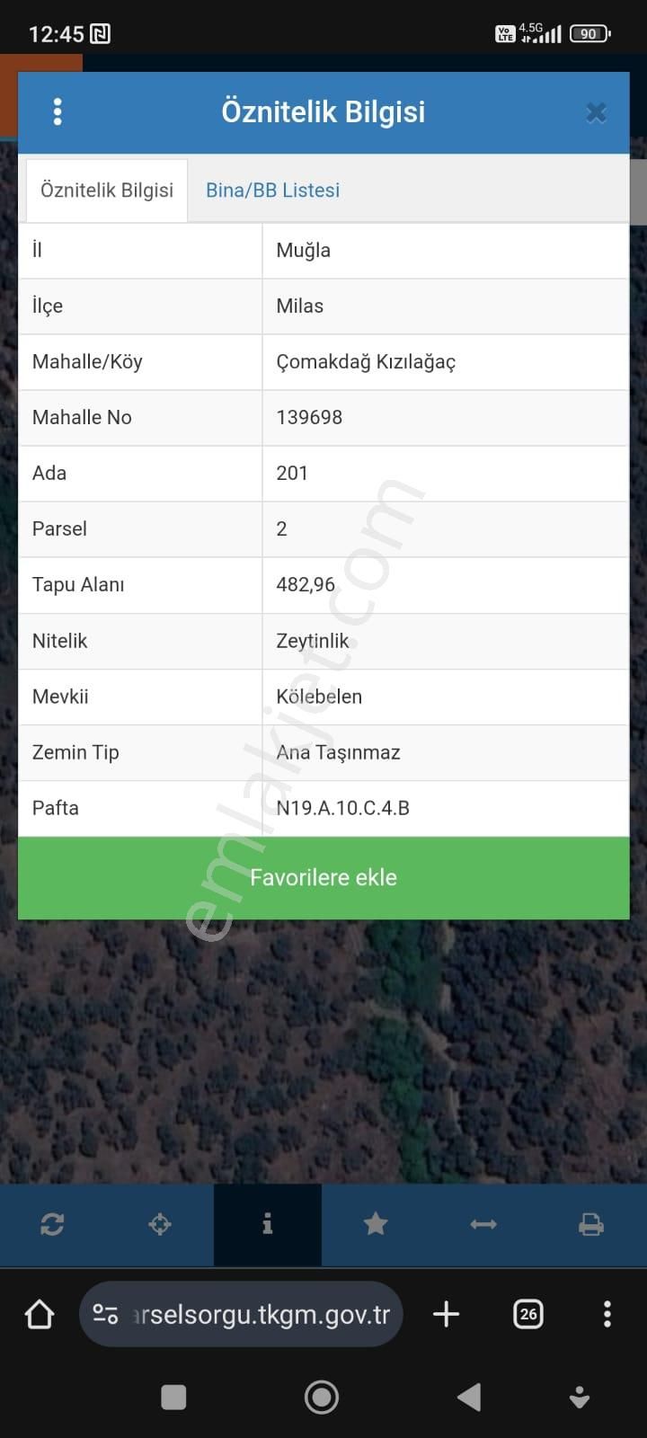 Muğla Milas Çomakdağ 483 M2 Zeytinlik - Görsel 2
