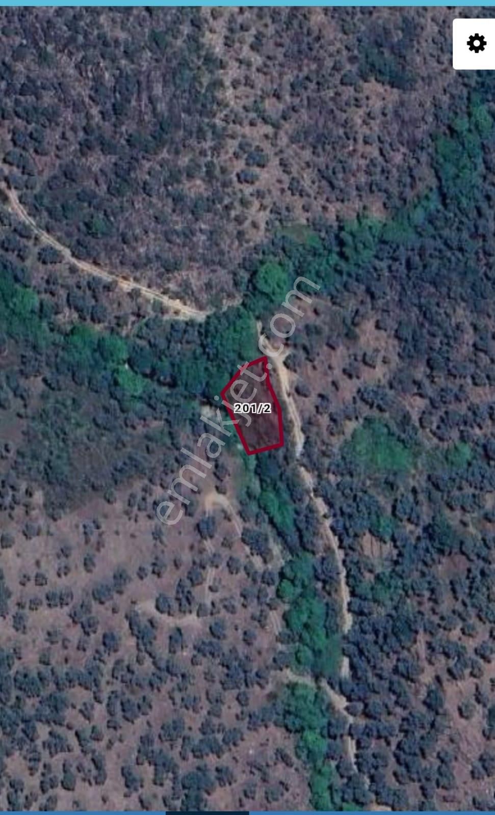 Muğla Milas Çomakdağ 483 M2 Zeytinlik