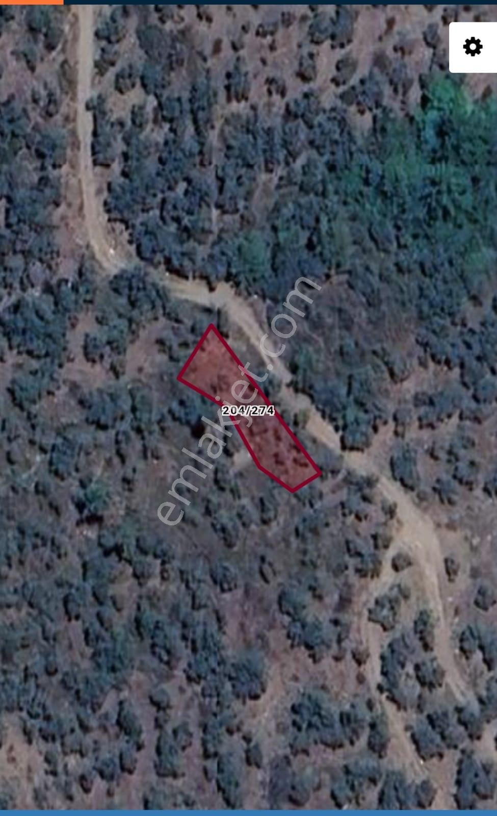 Muğla Milas Çomakdağ 270m2 Zeytinlik