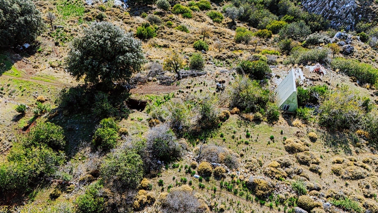 Bozburun'da Full Deniz Ve Symi Ada Manzaralı Fırsat! - Görsel 16