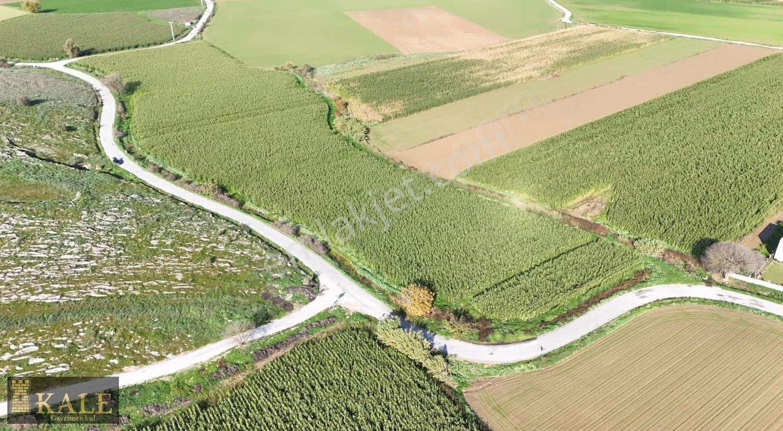 Kale'den Eskioba'da Asfalt Üstü Kupon Arazi - Görsel 6