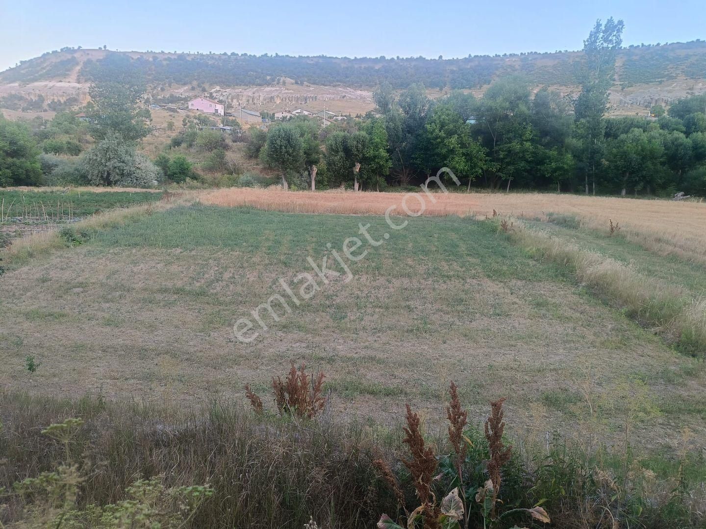 Konya / Meram / Güneydere Mahallesinde 342 M² Müstakil Tapulu Tarla - Görsel 2
