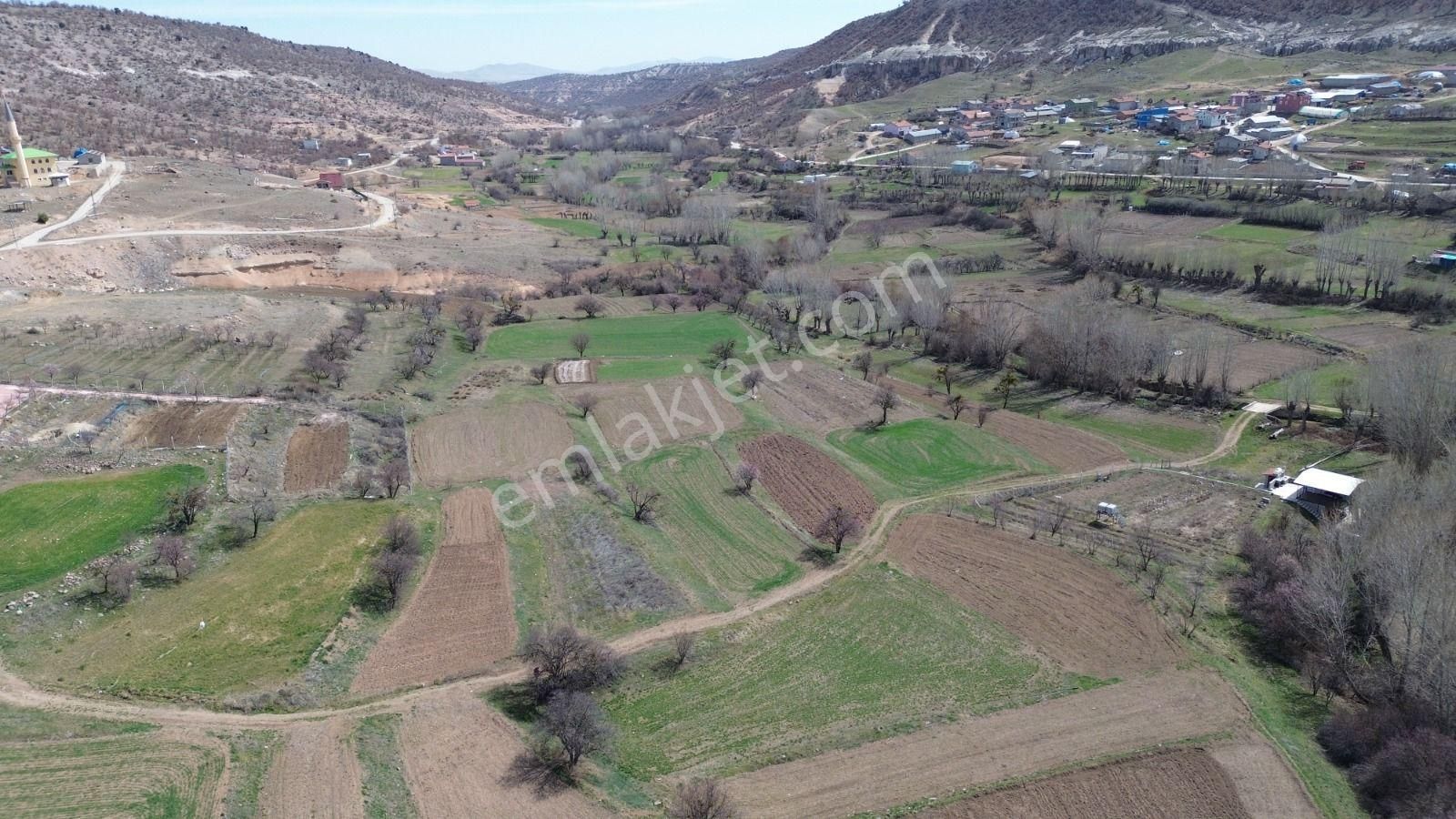 Konya / Meram / Güneydere Mahallesinde 342 M² Müstakil Tapulu Tarla