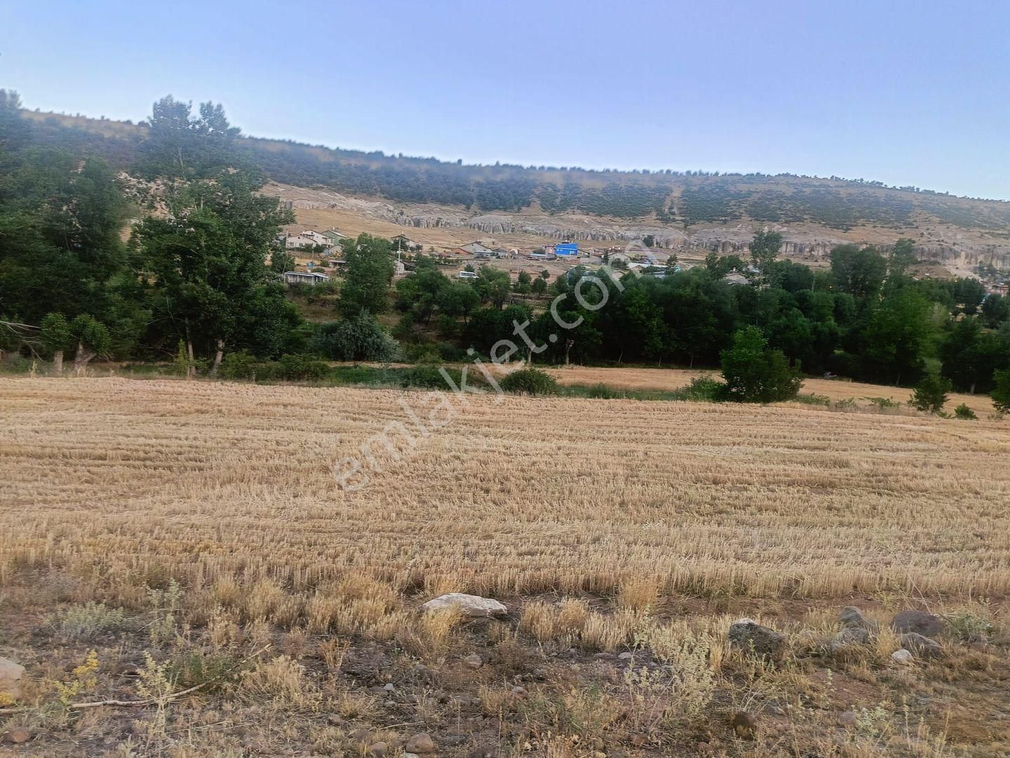 Konya / Meram / Güneydere Mahallesinde 342 M² Müstakil Tapulu Tarla - Görsel 5