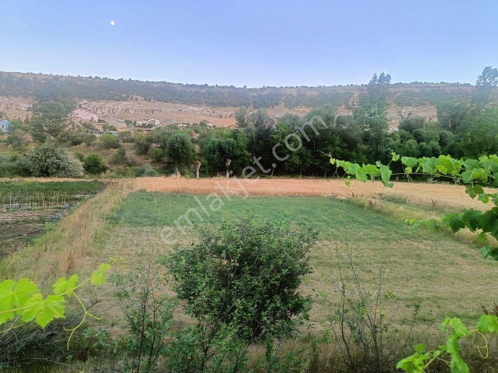 Konya / Meram / Güneydere Mahallesinde 342 M² Müstakil Tapulu Tarla - Görsel 6