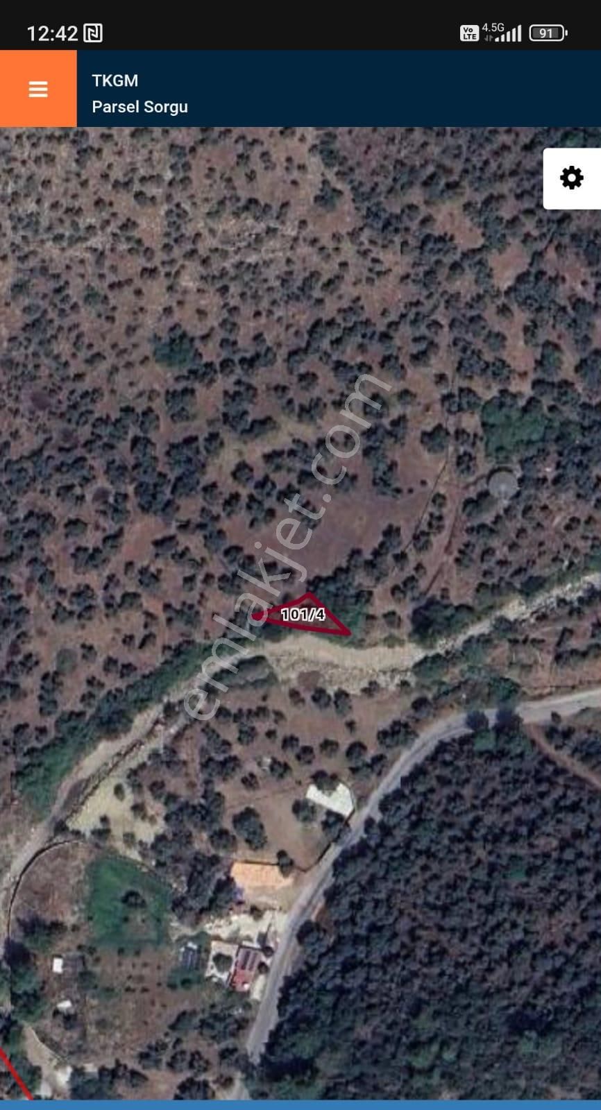 Muğla Milas Karahayıt 155 M2 Zeytinlik