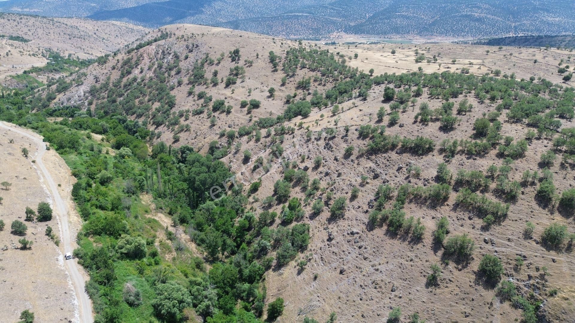 Meram Çukurçimen De 3.260 M2 Müstakil Tapulu Bahçe - Görsel 2