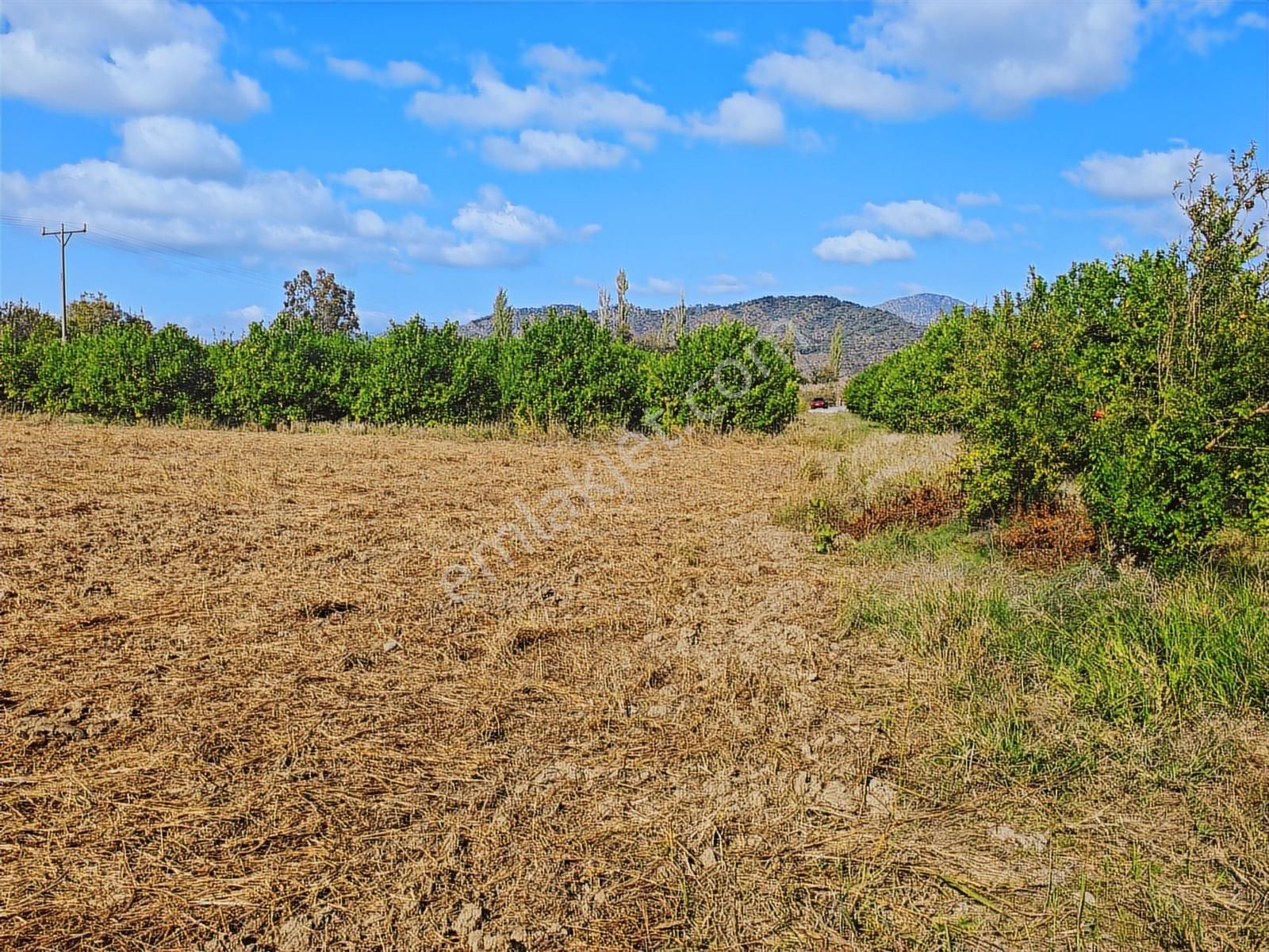 Muğla Ortaca Dikmekavak Satılık 2.315 M2 Arsa 3e Gayrimenkul - Görsel 6