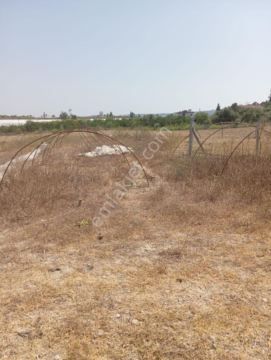 Evrenleryavsi De Satılık Tarla