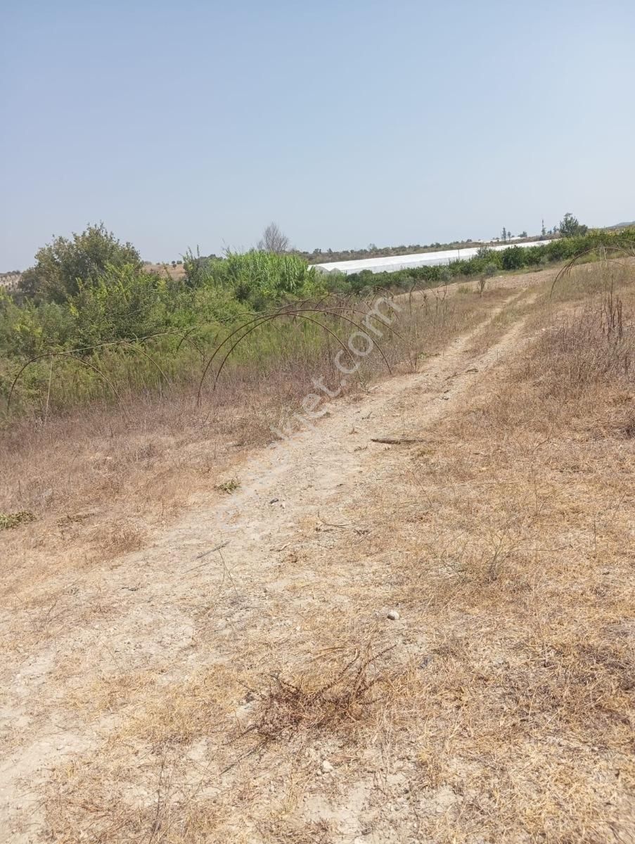 Evrenleryavsi De Satılık Tarla - Görsel 6