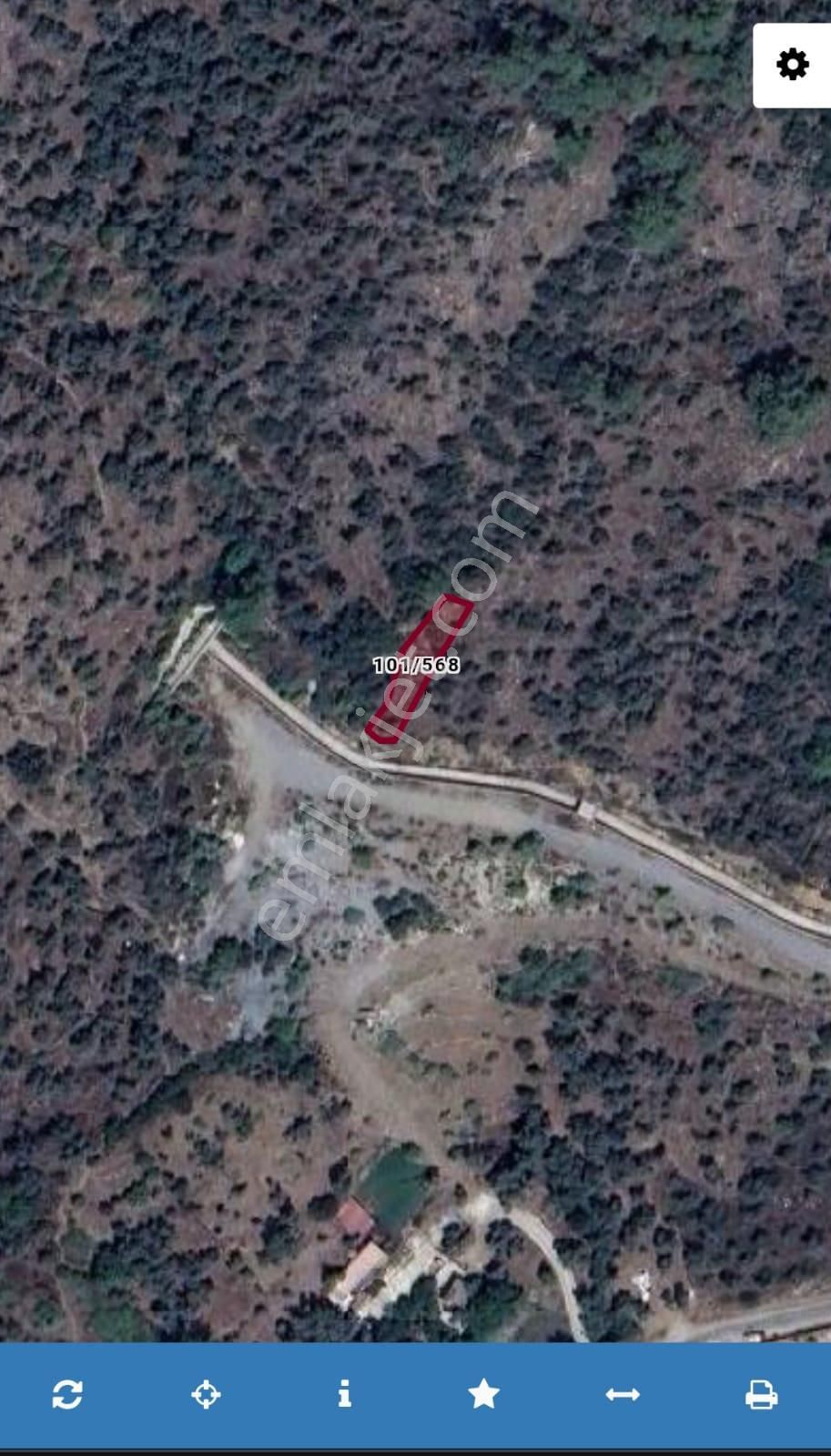 Muğla Milas Kandakta 236 M2 Zeytinlik