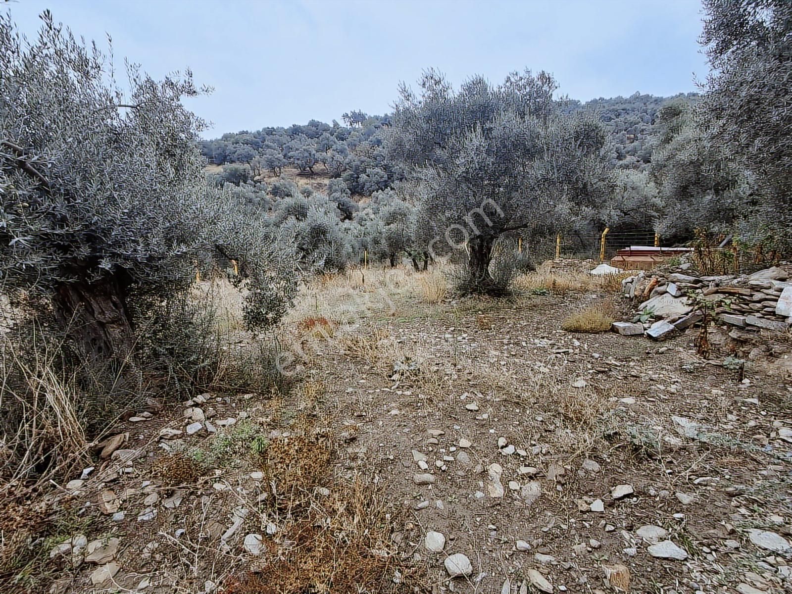 Akar Emlaktan Satılık Muhteşem Konumda Hobi Bahçesi - Görsel 3