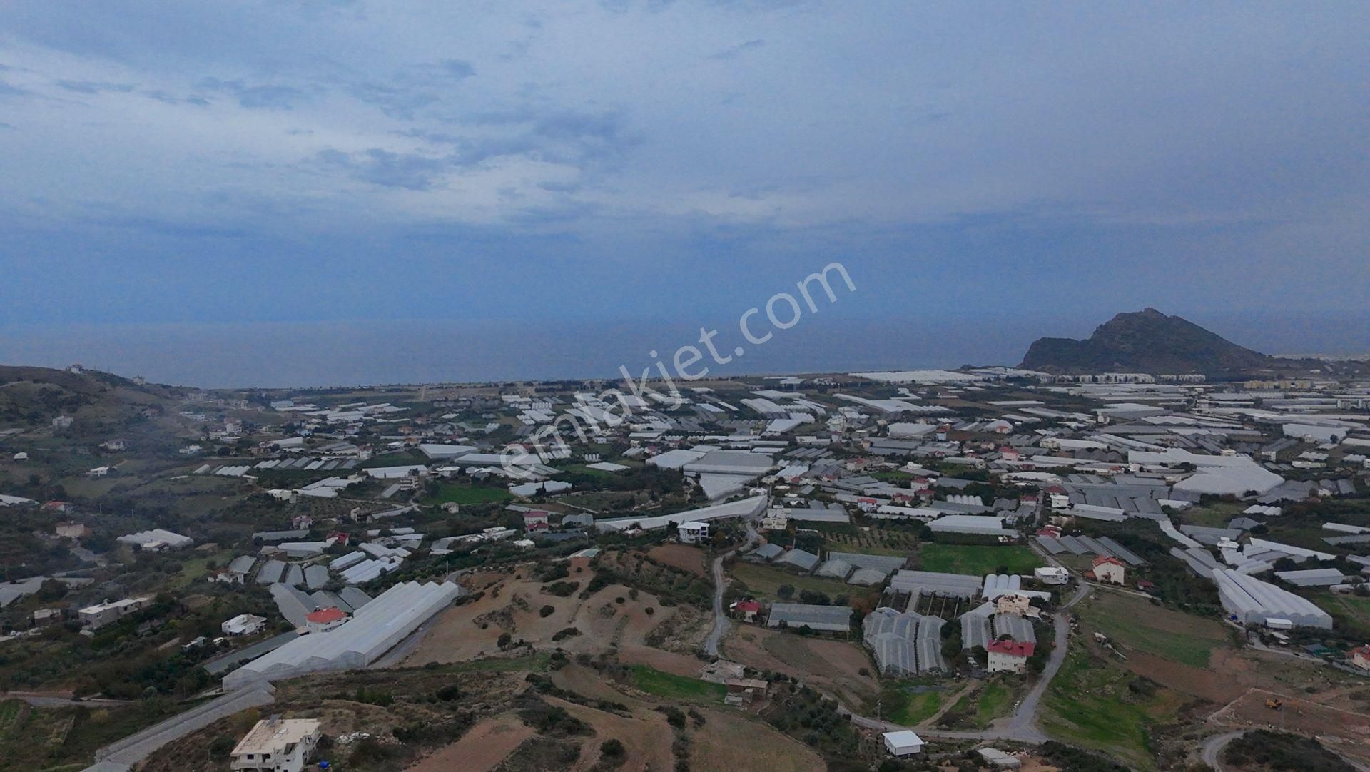 Gazipaşa Koru'da Full Deniz Manzaralı Villa Arsası - Görsel 6