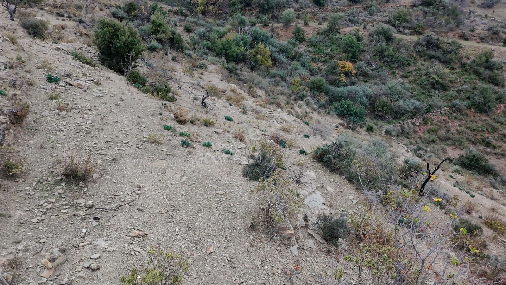 Gazipaşa Koru'da Full Deniz Manzaralı Villa Arsası - Görsel 9