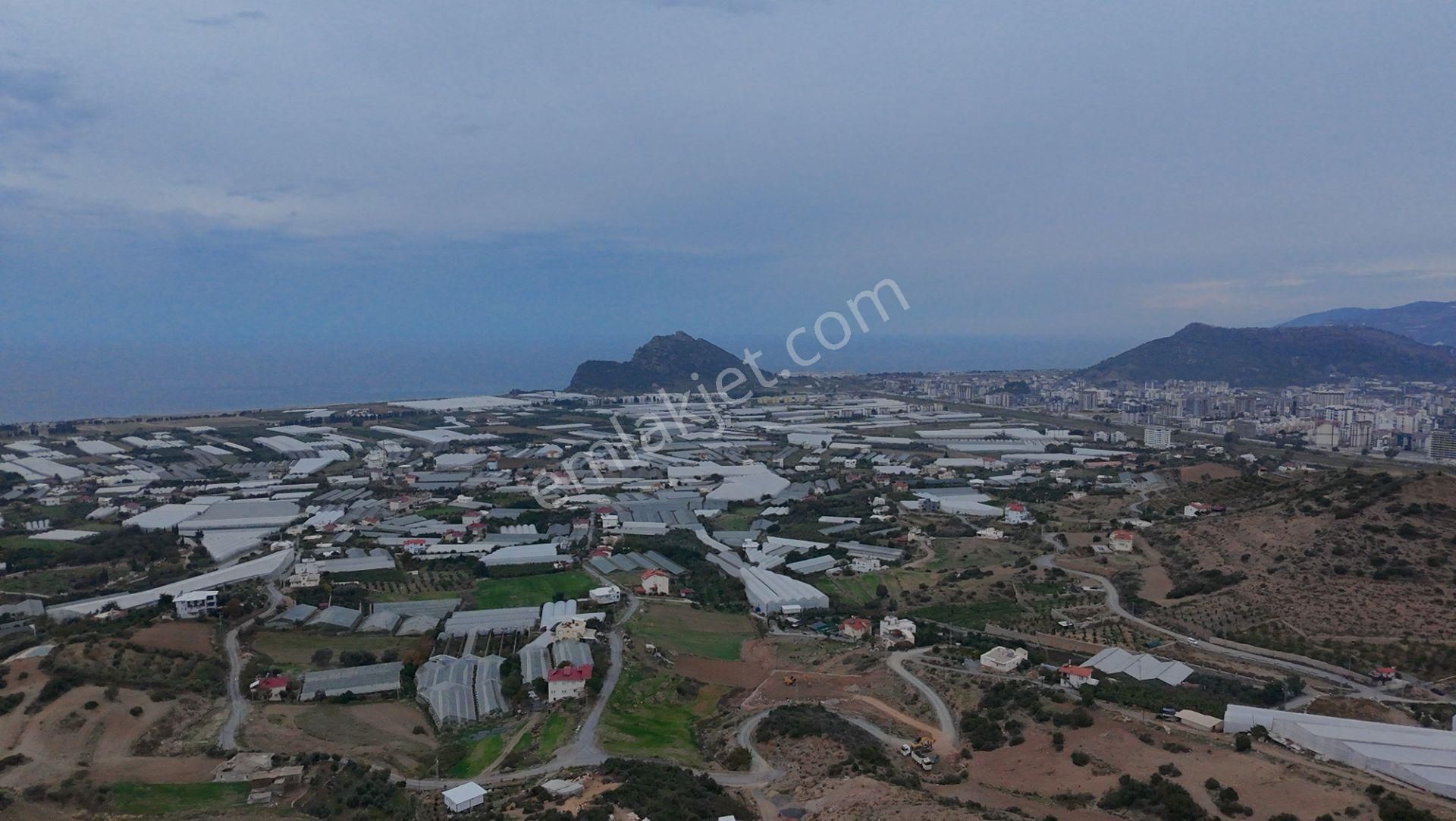 Gazipaşa Koru'da Full Deniz Manzaralı Villa Arsası - Görsel 5