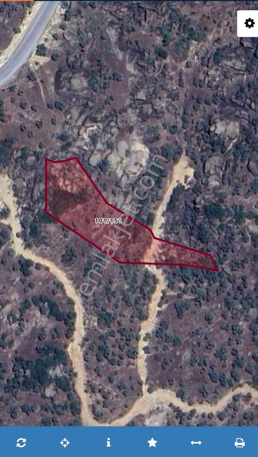 Aydın Karpuzlu Tekelerde 3.526 M2 Zeytinlik