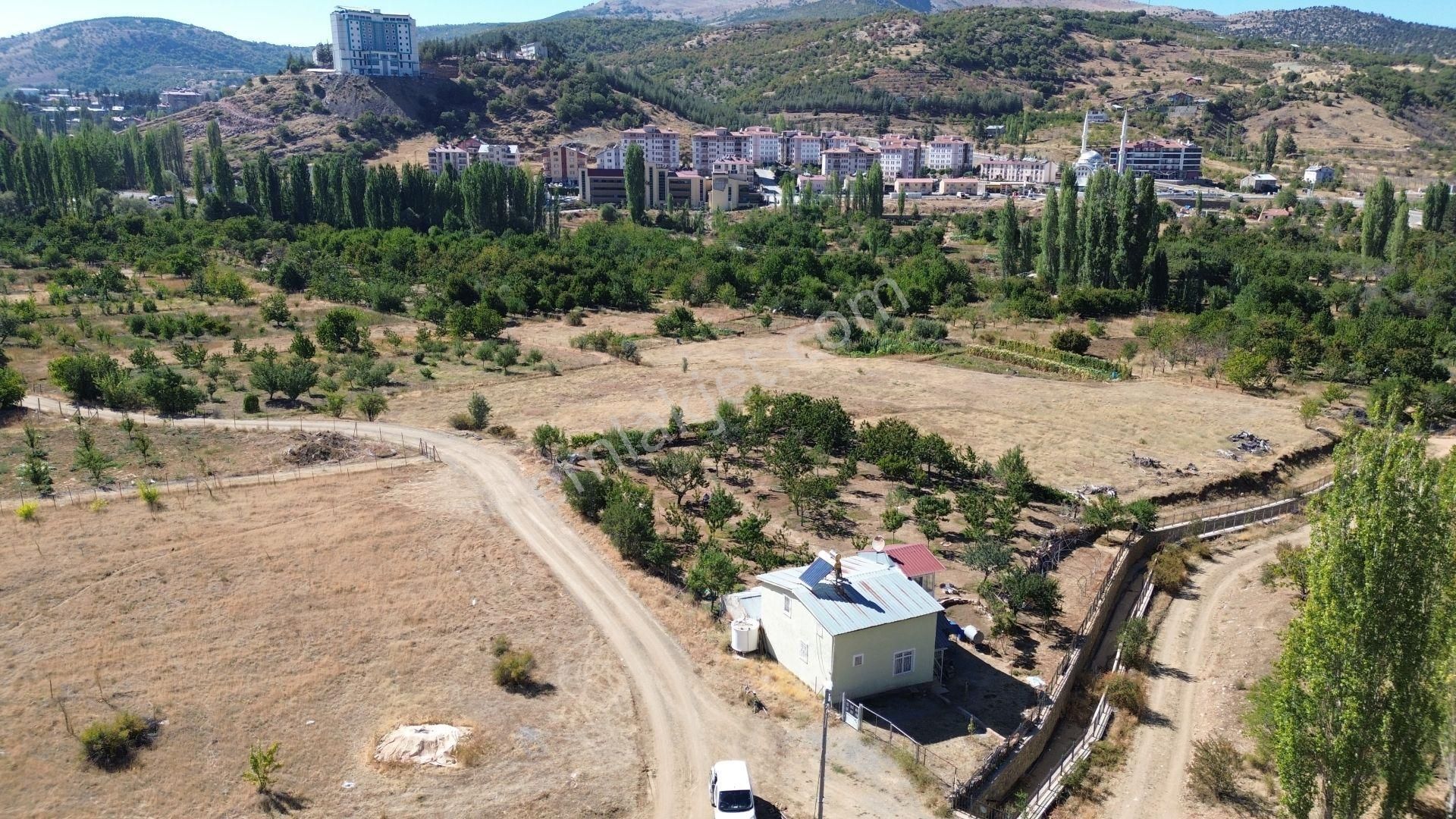 Konya / Hadim / Aşağıhadim Mahallesinde 2+1 Bahçe Evi - Görsel 7