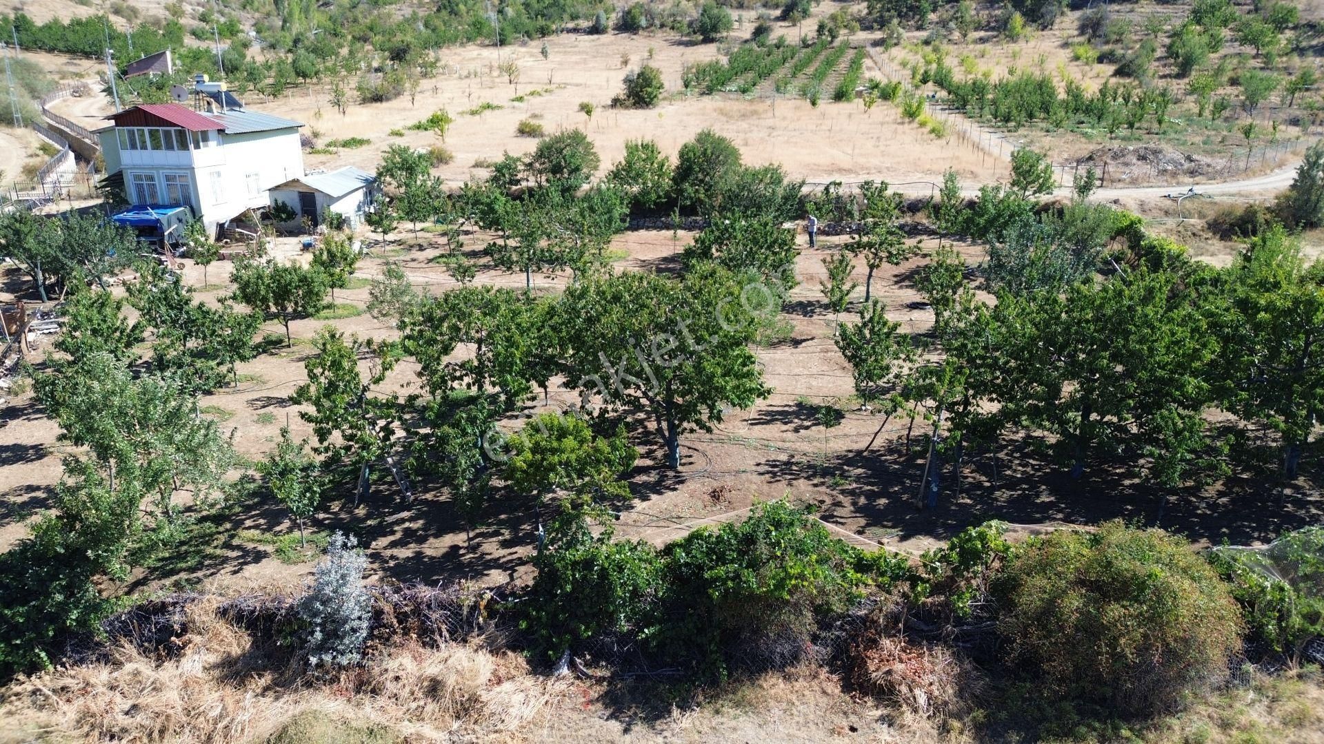 Konya / Hadim / Aşağıhadim Mahallesinde 2+1 Bahçe Evi - Görsel 5