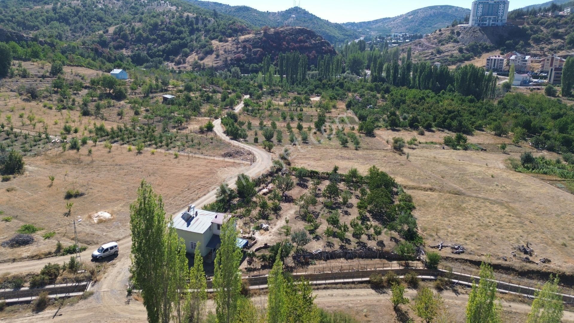 Konya / Hadim / Aşağıhadim Mahallesinde 2+1 Bahçe Evi - Görsel 2