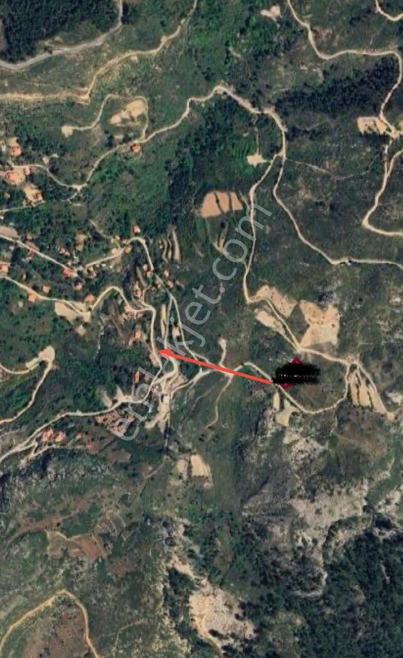 Dyk Est Emlaktan Muğla Menteşe Zeytinköy’de Köy İçinde Satılık 1597 M2 Satılık Tarla - Görsel 14